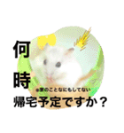 こなつくんとゆきんこちゃん②（個別スタンプ：40）