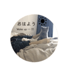 ジルくんの日常 -Jill’s life stamp-（個別スタンプ：6）