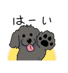 うちの黒犬（個別スタンプ：2）