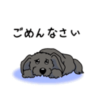 うちの黒犬（個別スタンプ：4）