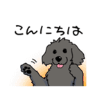 うちの黒犬（個別スタンプ：5）