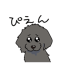 うちの黒犬（個別スタンプ：7）