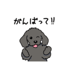 うちの黒犬（個別スタンプ：17）