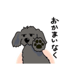 うちの黒犬（個別スタンプ：19）