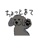 うちの黒犬（個別スタンプ：24）