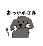 うちの黒犬（個別スタンプ：31）