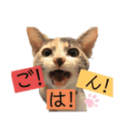 びあむぎ（個別スタンプ：2）