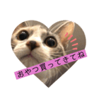 びあむぎ（個別スタンプ：4）