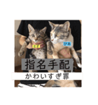 びあむぎ（個別スタンプ：5）
