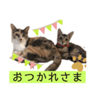 びあむぎ（個別スタンプ：7）