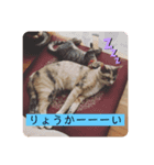 びあむぎ（個別スタンプ：8）