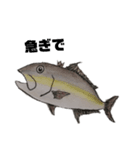 お魚大好きvol.1（個別スタンプ：6）