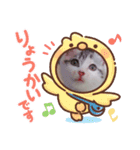 猫のこなつちゃんのスタンプです。（個別スタンプ：5）