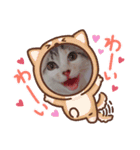 猫のこなつちゃんのスタンプです。（個別スタンプ：6）