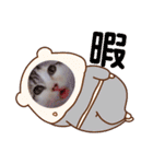 猫のこなつちゃんのスタンプです。（個別スタンプ：13）