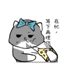 シェルビー オジサン (1)（個別スタンプ：3）
