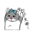 シェルビー オジサン (1)（個別スタンプ：8）