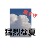 たけしの スタンプ その13（個別スタンプ：18）