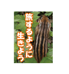 もっと自由にもっと自分らしく04（個別スタンプ：1）