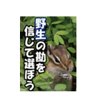 もっと自由にもっと自分らしく04（個別スタンプ：2）