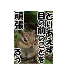 もっと自由にもっと自分らしく04（個別スタンプ：4）