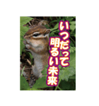 もっと自由にもっと自分らしく04（個別スタンプ：5）