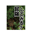 もっと自由にもっと自分らしく04（個別スタンプ：7）