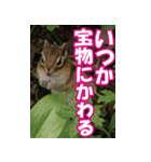 もっと自由にもっと自分らしく04（個別スタンプ：8）