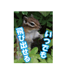 もっと自由にもっと自分らしく04（個別スタンプ：9）