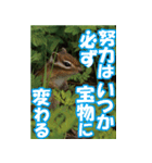 もっと自由にもっと自分らしく04（個別スタンプ：11）
