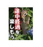 もっと自由にもっと自分らしく04（個別スタンプ：12）