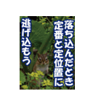 もっと自由にもっと自分らしく04（個別スタンプ：13）