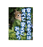 もっと自由にもっと自分らしく04（個別スタンプ：14）