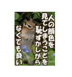 もっと自由にもっと自分らしく04（個別スタンプ：15）