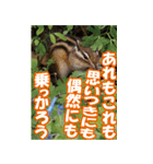 もっと自由にもっと自分らしく04（個別スタンプ：16）