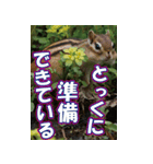 もっと自由にもっと自分らしく04（個別スタンプ：17）