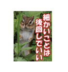 もっと自由にもっと自分らしく04（個別スタンプ：21）