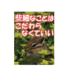 もっと自由にもっと自分らしく04（個別スタンプ：22）