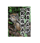もっと自由にもっと自分らしく04（個別スタンプ：23）