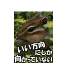 もっと自由にもっと自分らしく04（個別スタンプ：24）