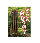 もっと自由にもっと自分らしく04（個別スタンプ：25）