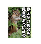 もっと自由にもっと自分らしく04（個別スタンプ：26）