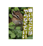 もっと自由にもっと自分らしく04（個別スタンプ：27）