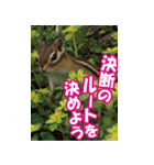 もっと自由にもっと自分らしく04（個別スタンプ：29）