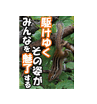 もっと自由にもっと自分らしく04（個別スタンプ：30）