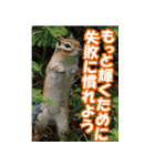 もっと自由にもっと自分らしく04（個別スタンプ：32）