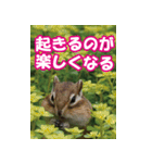 もっと自由にもっと自分らしく04（個別スタンプ：33）