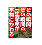 もっと自由にもっと自分らしく04（個別スタンプ：34）