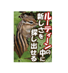 もっと自由にもっと自分らしく04（個別スタンプ：35）
