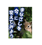 もっと自由にもっと自分らしく04（個別スタンプ：36）